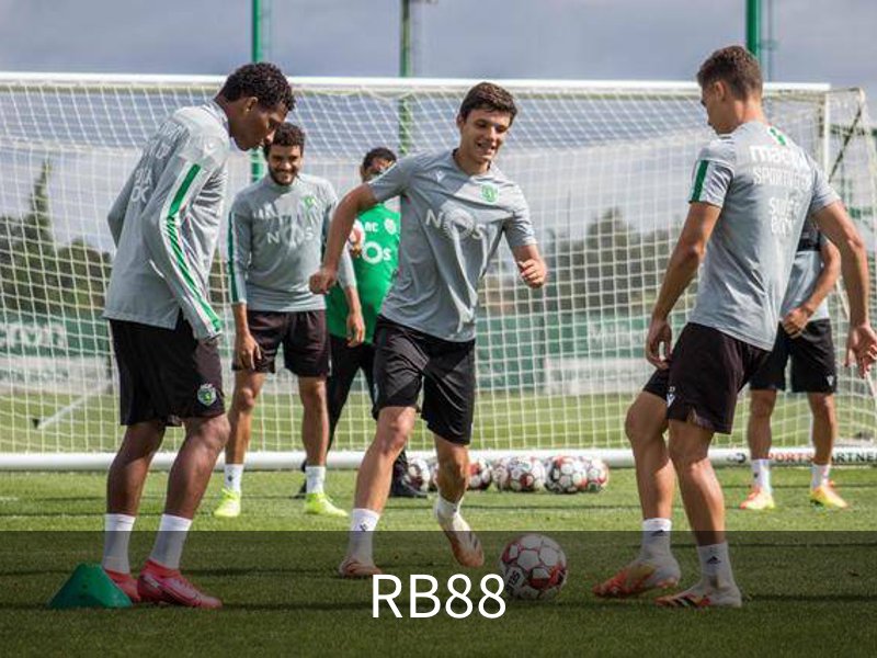 了解RB88